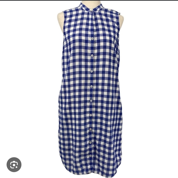 Blue and White Checkered Sleeveless Dress - Picture 1 of 5